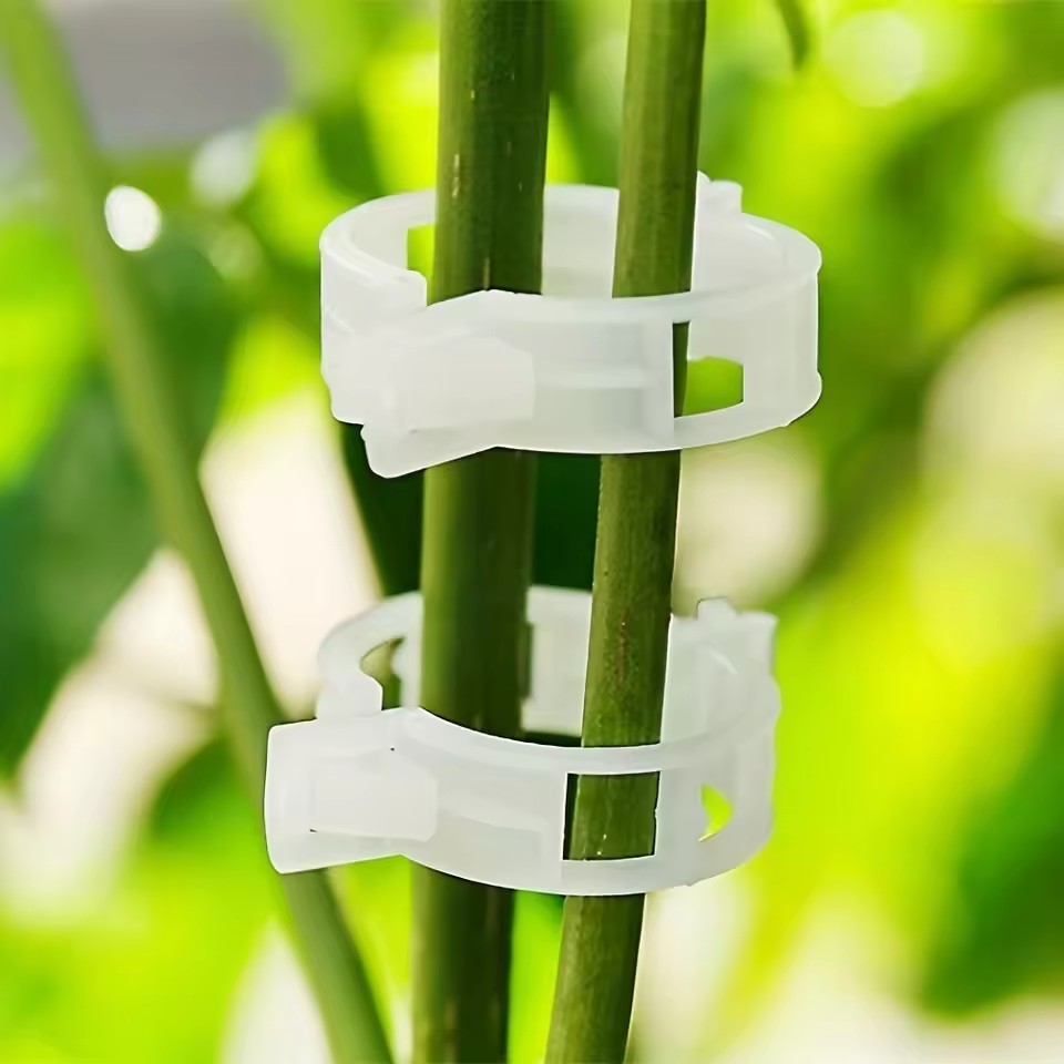 20 Adet Bitki Destek Klipsi, S - Gardening Tools Vegetables incelemesi ve fiyatı