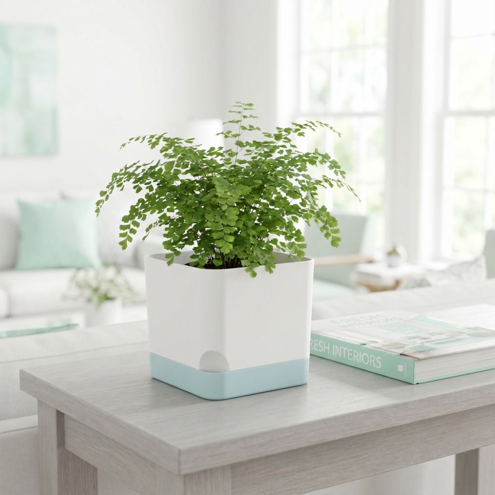 Basit Kare Şekilli Kendinden S - Self-Watering Planter incelemesi ve fiyatı
